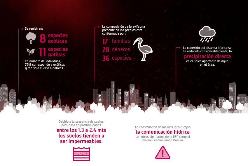 Componente Ambiental